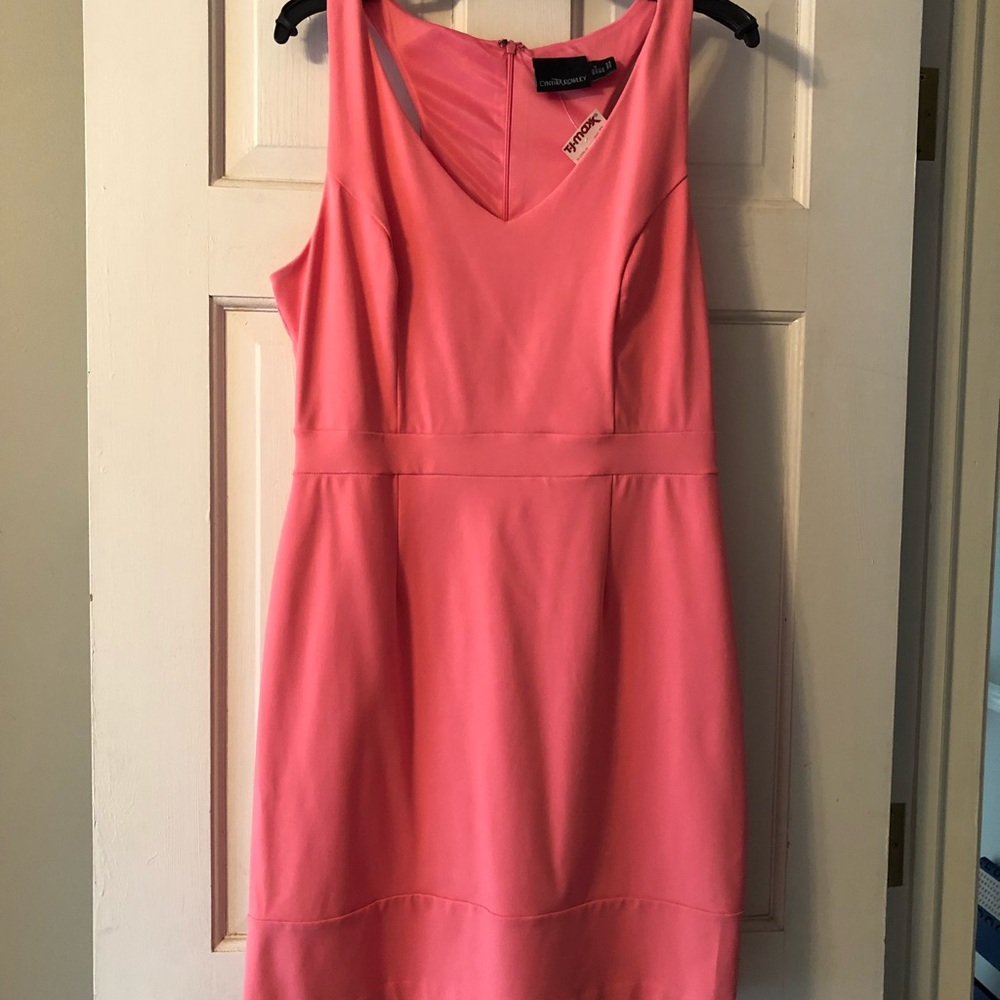 Fitted Pink Mini Dress